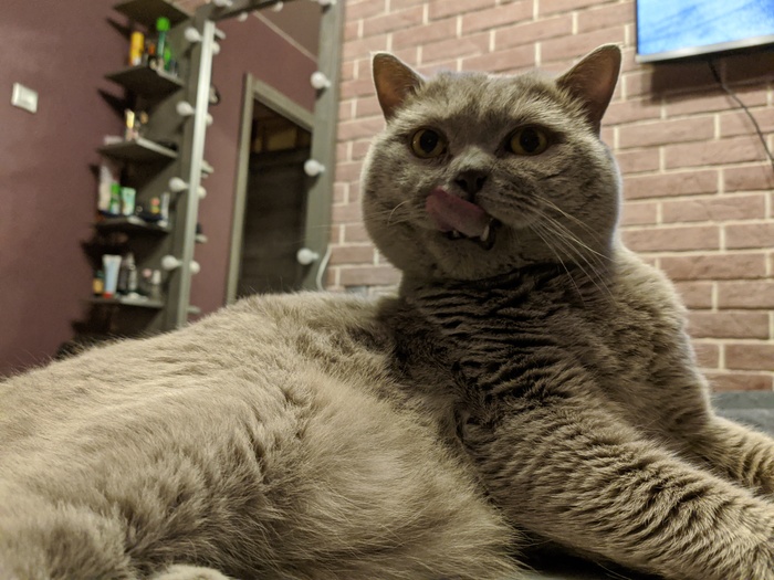  , , 