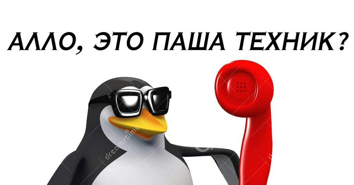 Але ал е. Пингвин с телефоном. Пингвин Мем. Пингвин в очках. Алло Пингвин.