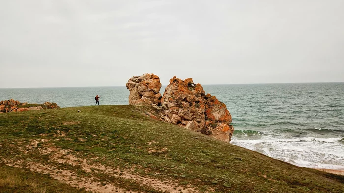 Crimea - nature created stone sculptures of animals - My, Crimea, General's beaches