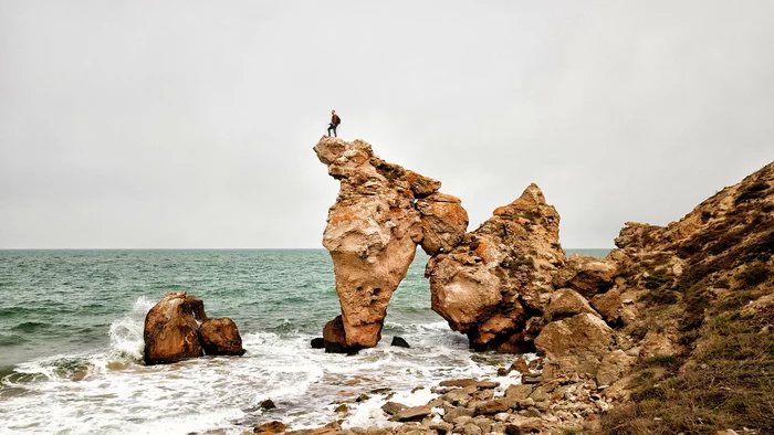 Crimea - nature created stone sculptures of animals - My, Crimea, General's beaches