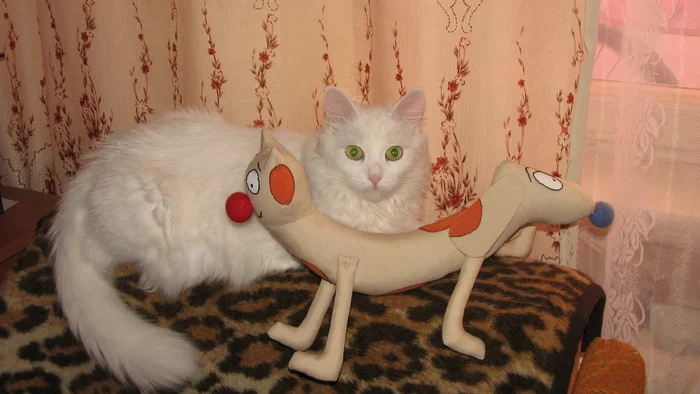 Catdog and cat - My, cat, Kotopes, Catdog (cartoon)