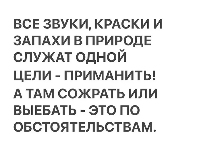 Все непросто с природой - Картинка с текстом, Природа, Юмор, Съесть, Секс, Жизнь