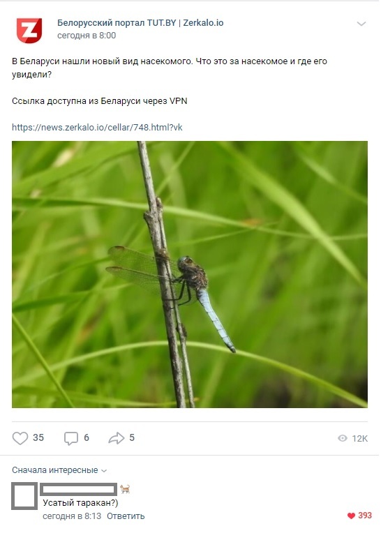 New species, not yet discovered - Republic of Belarus, Insects, Cockroaches, Subtle humor, Humor