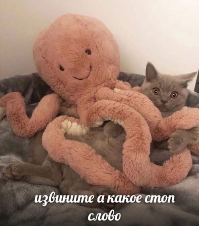 Прикольные кодовые слова для акции. Смотреть фото Прикольные кодовые слова для акции. Смотреть картинку Прикольные кодовые слова для акции. Картинка про Прикольные кодовые слова для акции. Фото Прикольные кодовые слова для акции