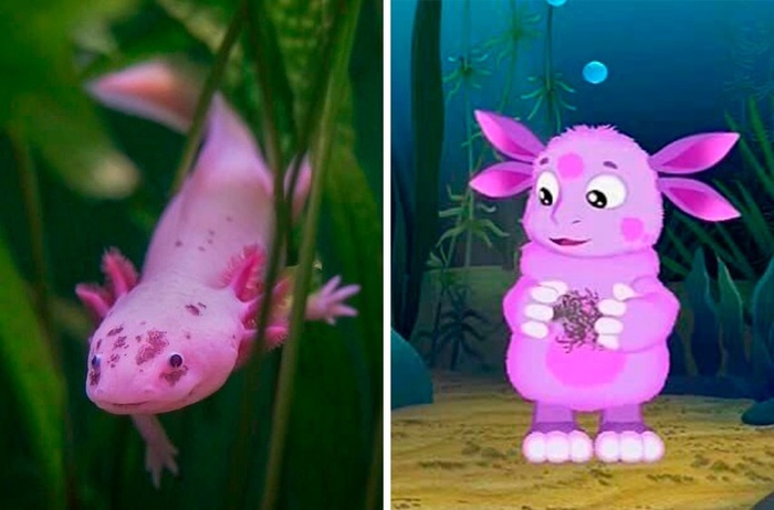 Лунная рыба