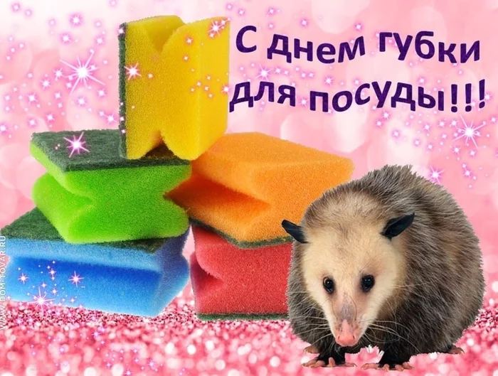 From the heart! - Dank memes, Opossum, Postcard, Congratulation, Absurd