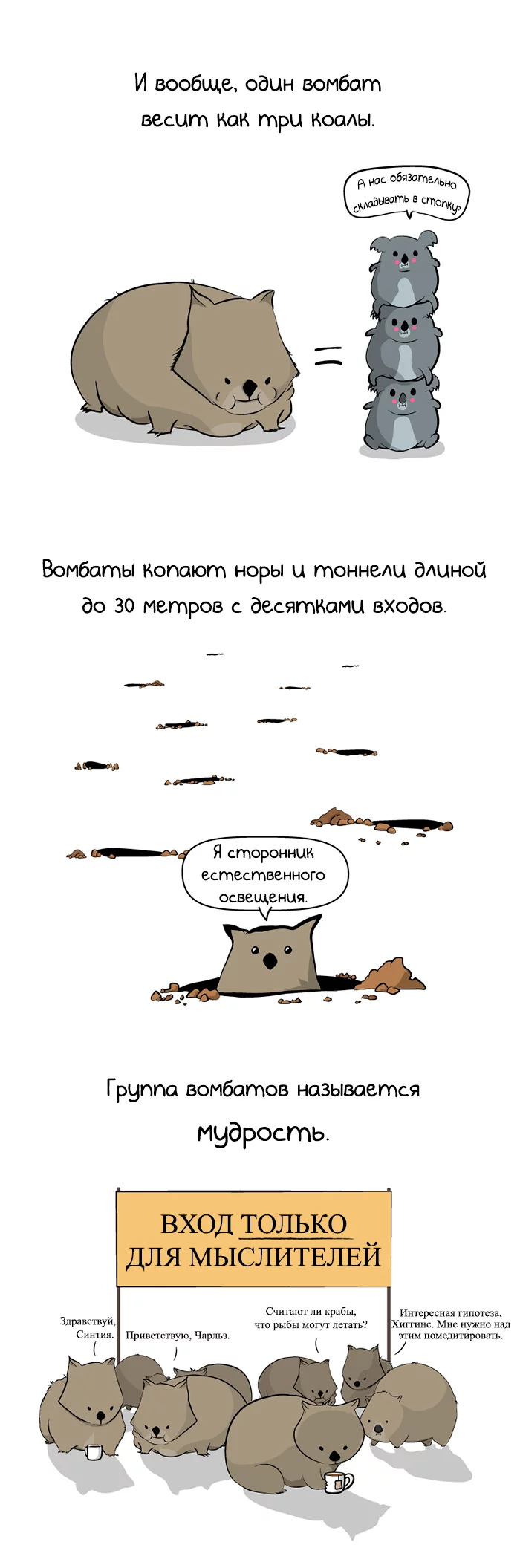 ������� �������, �������, ������� ���, The Oatmeal, �������, ����������