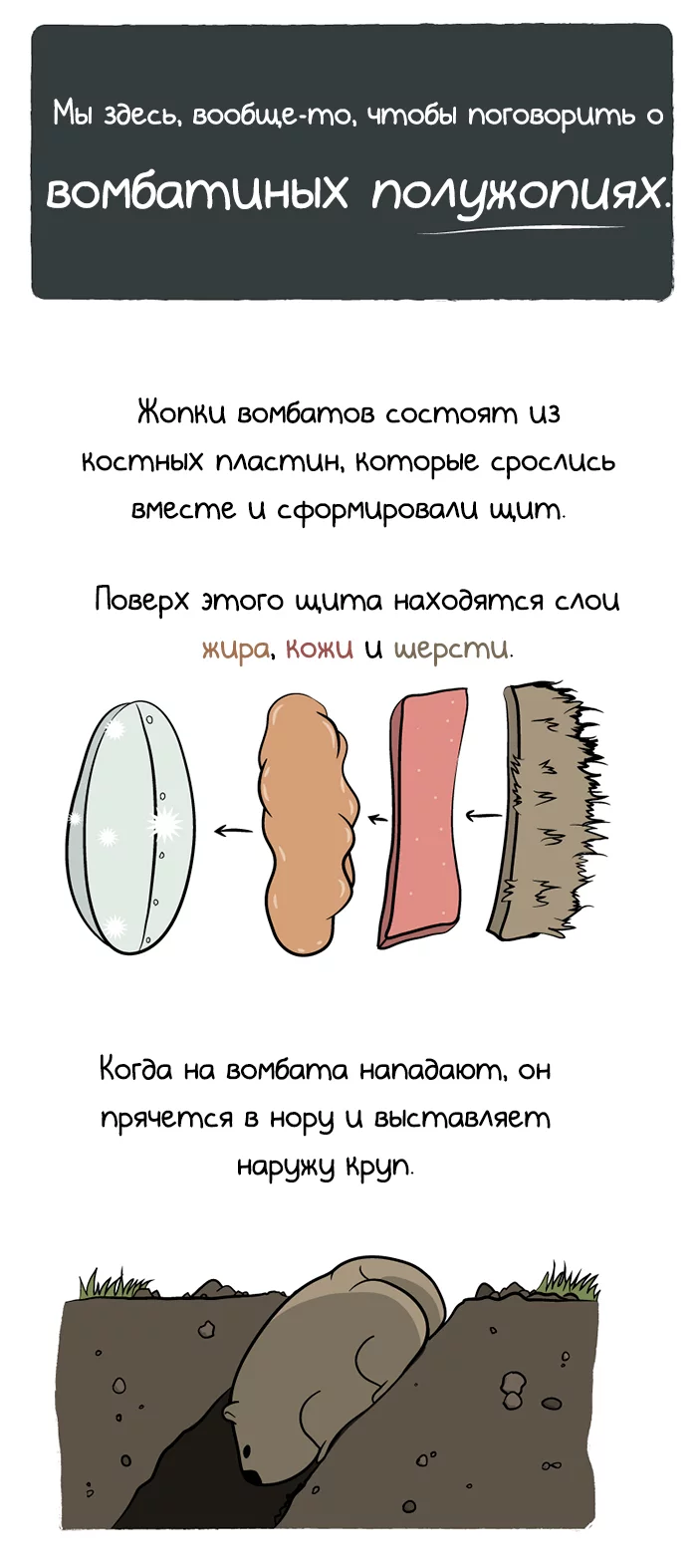 ������� �������, �������, ������� ���, The Oatmeal, �������, ����������