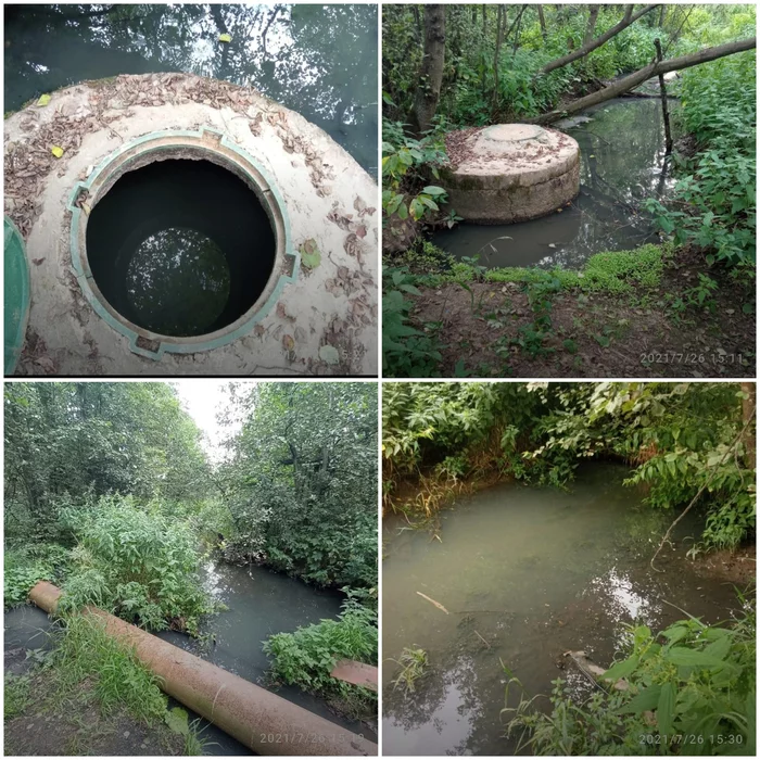 Tons of sewage are discharged from November to the present into the river Makhorka rp Sofrino - My, Ecology, Ecological catastrophy, Vodokanal, Sofrino, River, Sewerage, Negative, Pushkino, Longpost