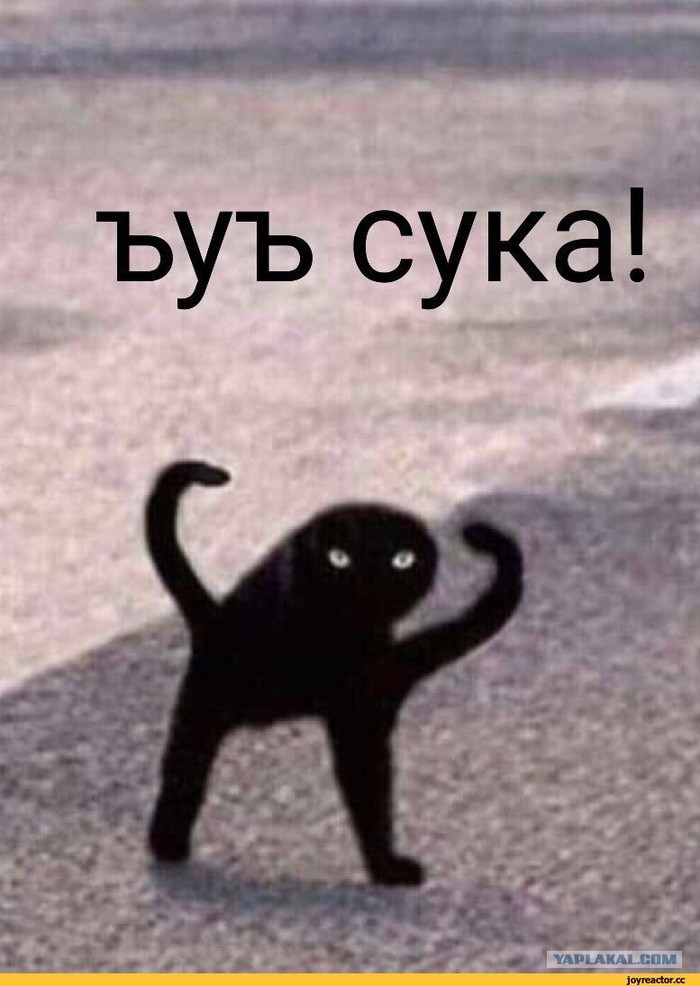  , ?   , , , 