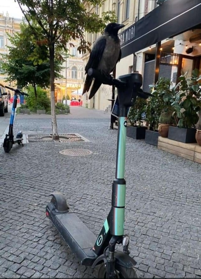 Всё как у людей