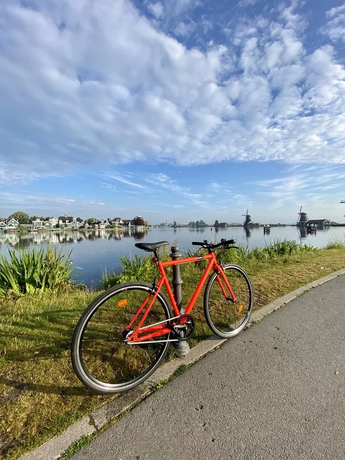 My Therapist - My, A bike, Psychotherapy, Netherlands (Holland), 