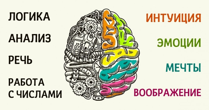 что если бы люди использовали мозг на 100