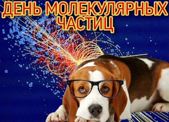Learn physics! - Dank memes, Postcard, Congratulation, Absurd, Dog