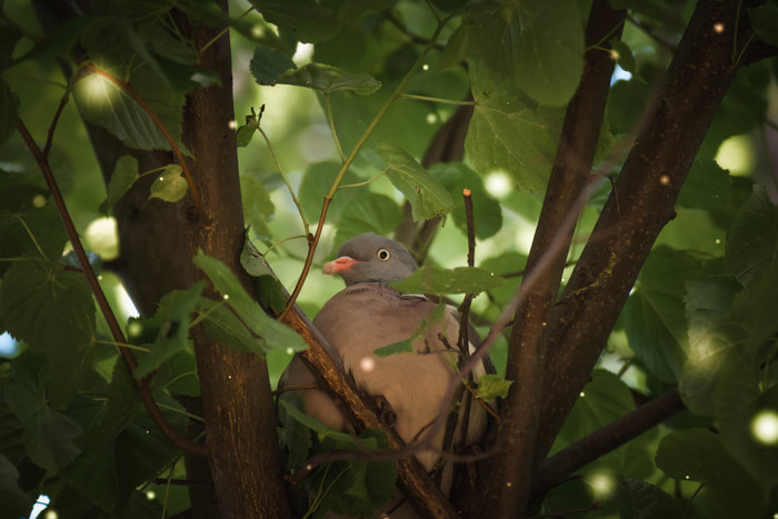 Замечательный сосед