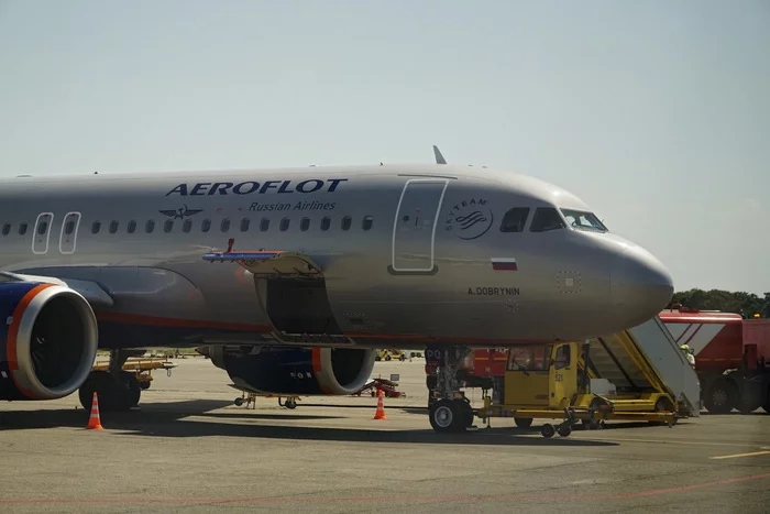 Baby Neo Aeroflot - My, Airbus, Airbus A320, Aeroflot, The photo, Spotting