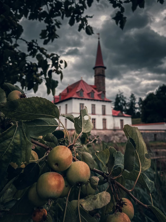 Apples against the backdrop of the Priory Palace in Gatchina - My, Mobile photography, Saint Petersburg, Gatchina, Apples, The photo, Lightroom, Castle, Priory Palace, , Summer, Beginning photographer, Nature