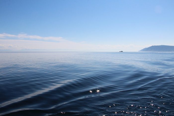 ������ �������� ����������� �������� ���������� �������� COVID �� ����� ����������������� �������