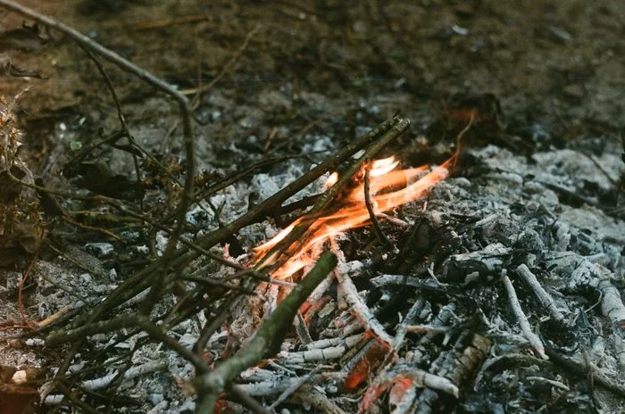 A small hike filmed on Zenit-E, Kodak Ultramax 400 film - My, Film, The photo, Zenith, Kodak, Longpost