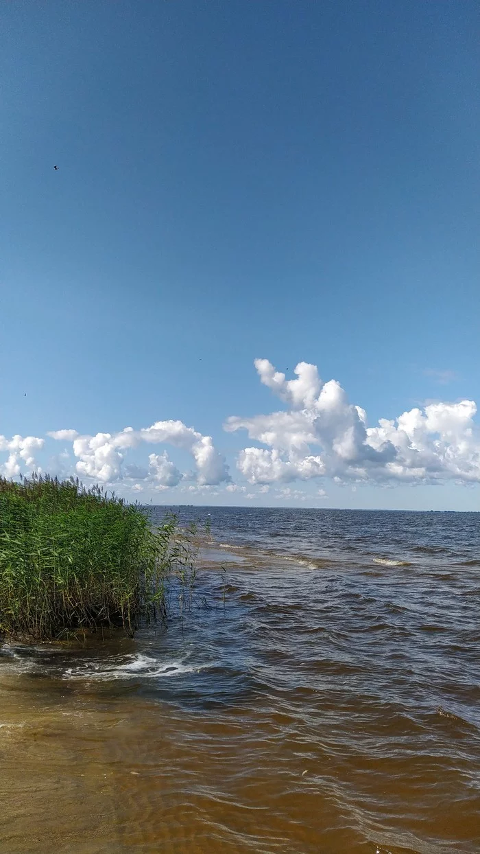 Чудское озеро - Моё, Чудское озеро, Мобильная фотография