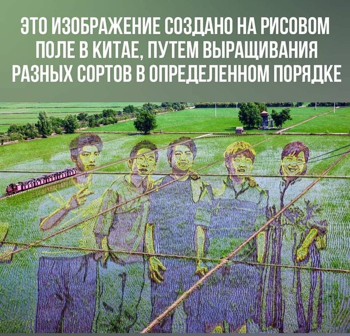 зачем телефон кладут в рис. 162737648718823140. зачем телефон кладут в рис фото. зачем телефон кладут в рис-162737648718823140. картинка зачем телефон кладут в рис. картинка 162737648718823140.