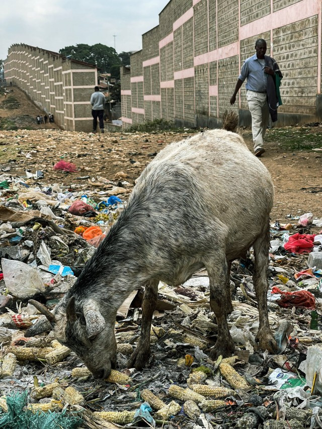 The largest African slums are located 5 km from the center of the capital of Kenya. Kibera - more than a million people live here - Africa, Poverty, Facebook, The photo, Longpost