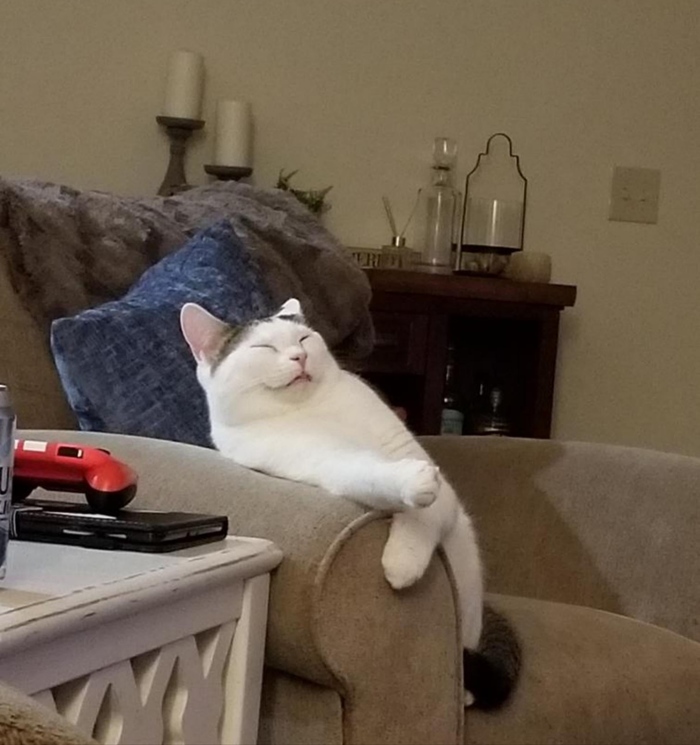 Не переключай, я смотрю