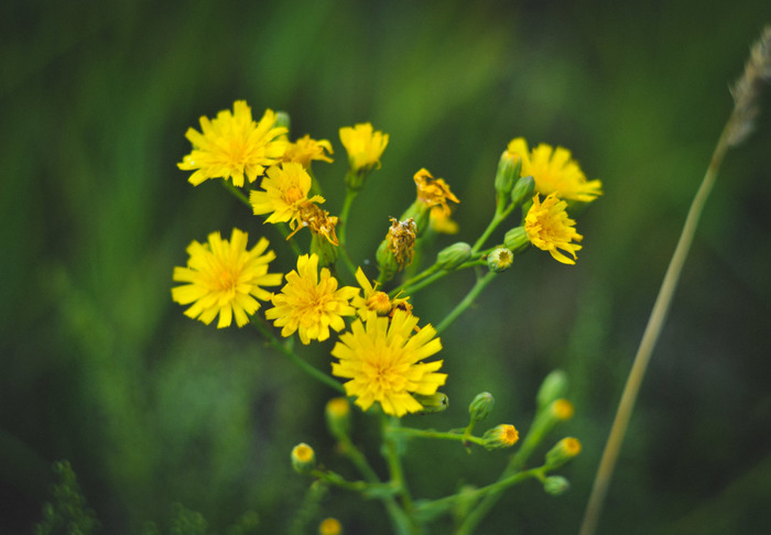  "" , Nikon d3100, -44, - , , , 