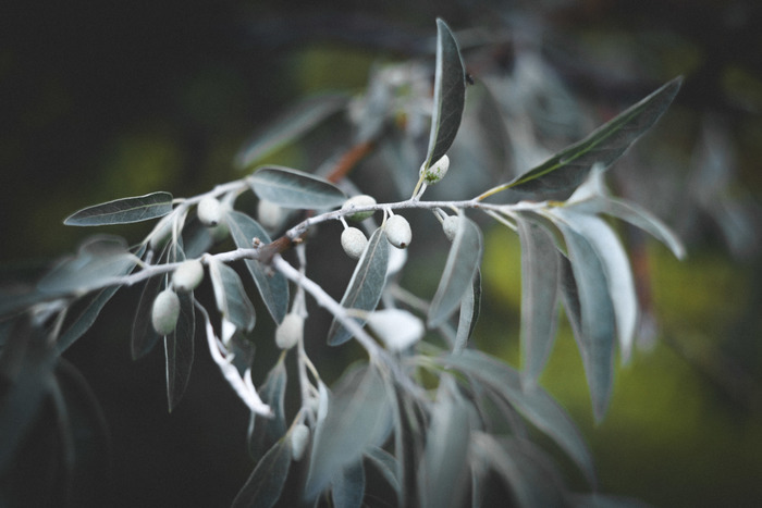  "" , Nikon d3100, -44, - , , , 