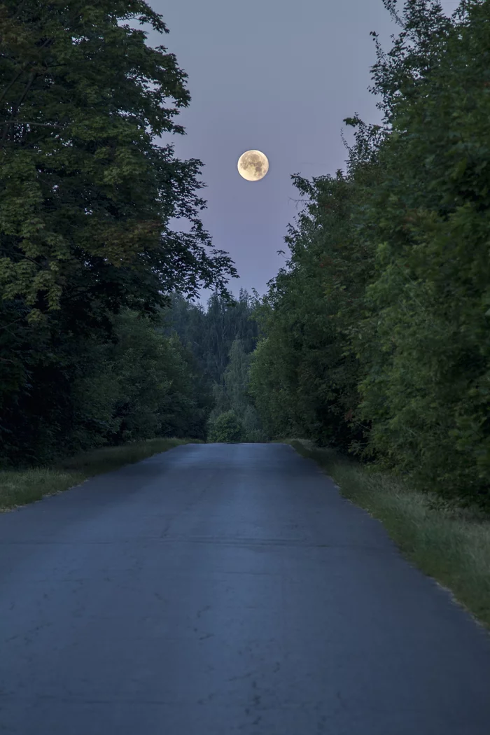 Road to the Moon - My, Landscape, Road, moon, Night, Canon, Canon 600D