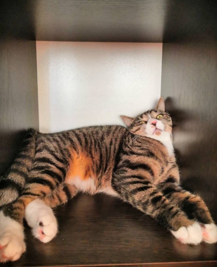  ,   ! , , , -