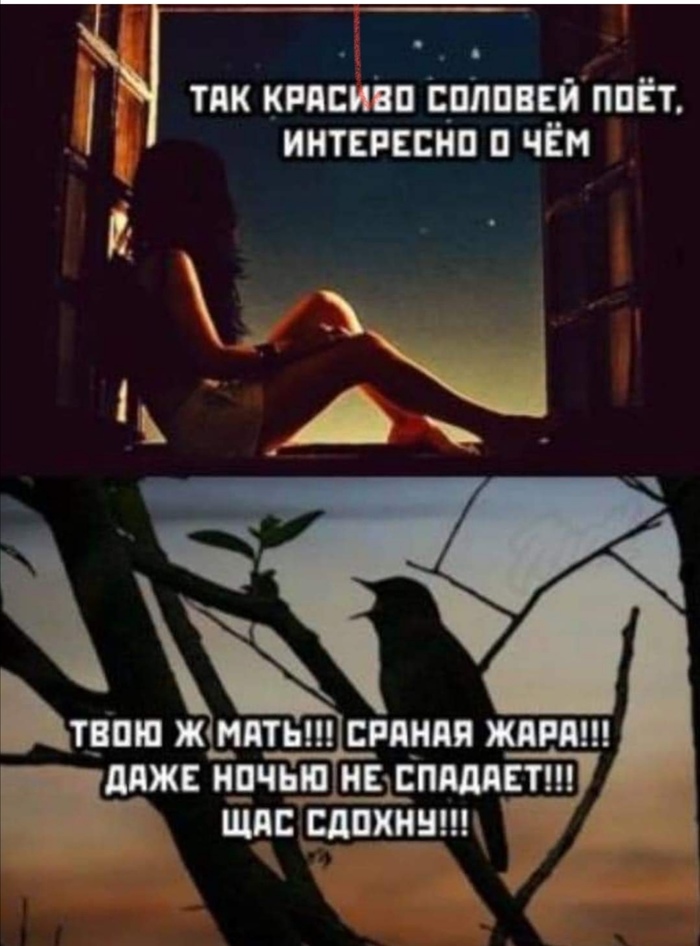 ��������� � ���� ���� �� ����...