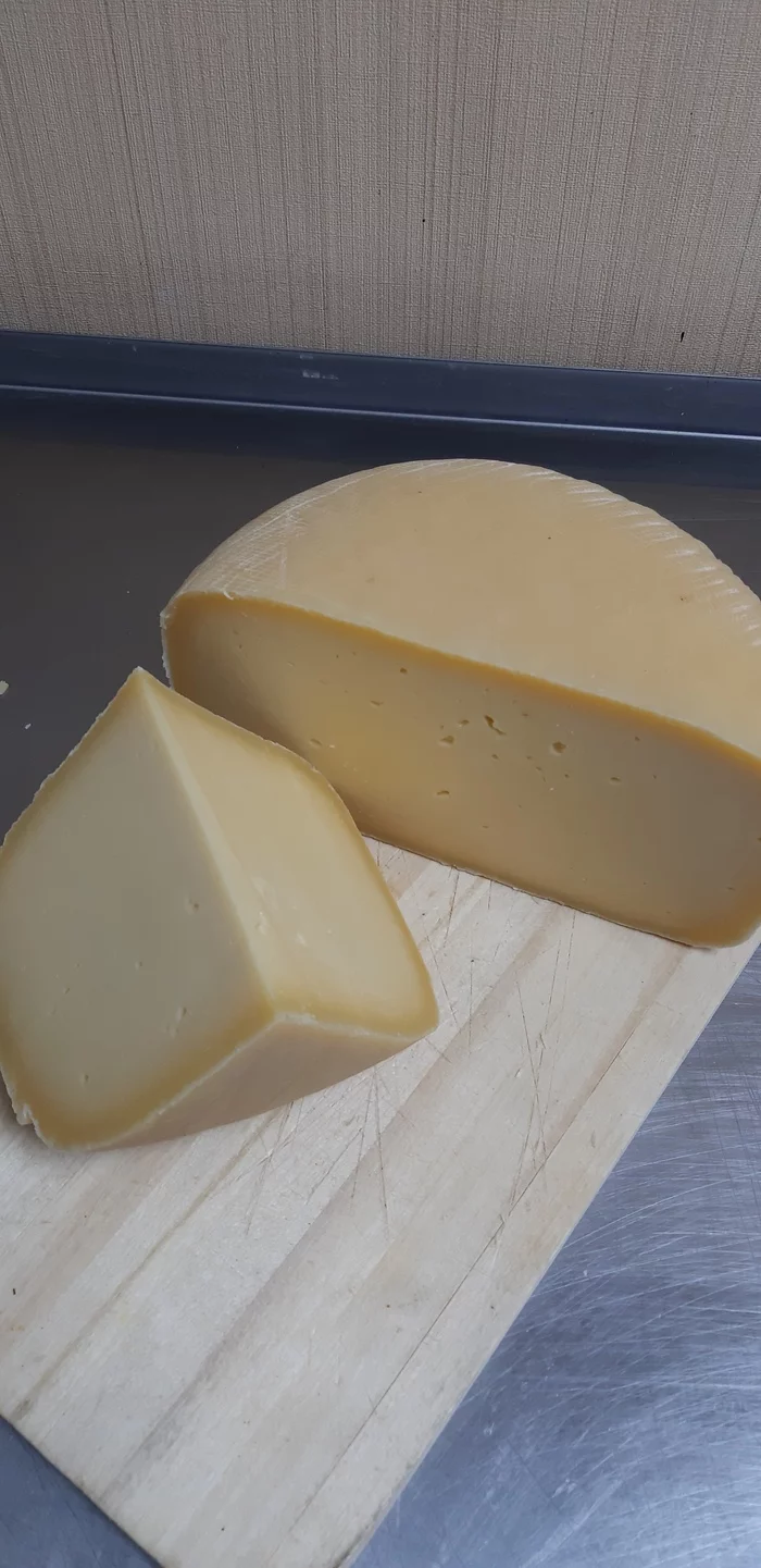Which cheese crusts are edible and which are not. - Longpost, Video, Mold, Cheese making, Cheese, My