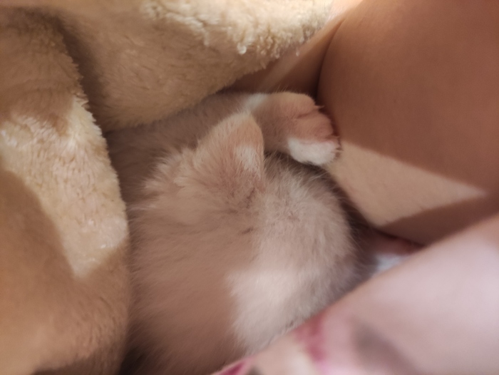 ������ ������