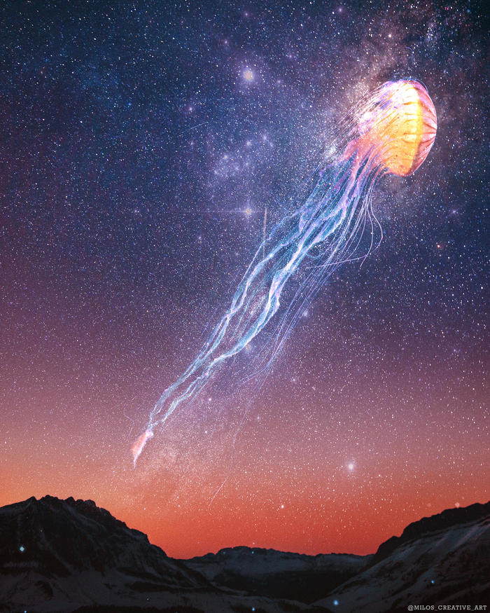 Jellyfish - Art, Images, Starry sky, Jellyfish, The mountains, Night