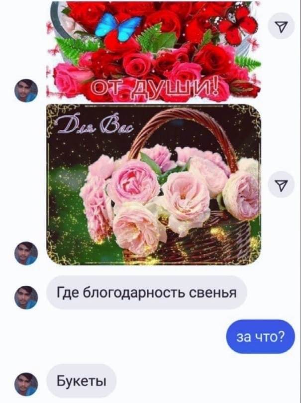 Be polite - Courtship, Вежливость, Longpost, Correspondence, In contact with, Screenshot