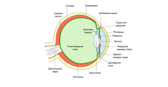 как понять что зеркало полнит. картинка как понять что зеркало полнит. как понять что зеркало полнит фото. как понять что зеркало полнит видео. как понять что зеркало полнит смотреть картинку онлайн. смотреть картинку как понять что зеркало полнит.