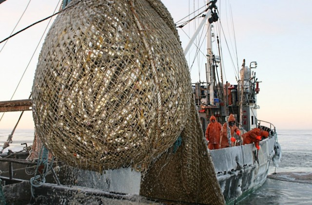 Ship cook Vova - Sailors, Sea, Fishing vessel, I cried, Longpost, Story, Text