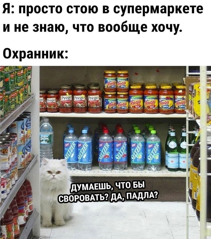 Охранник Юмор, Картинка с текстом, Супермаркет, Кот, Животные, Охранник, Мемы, Повтор