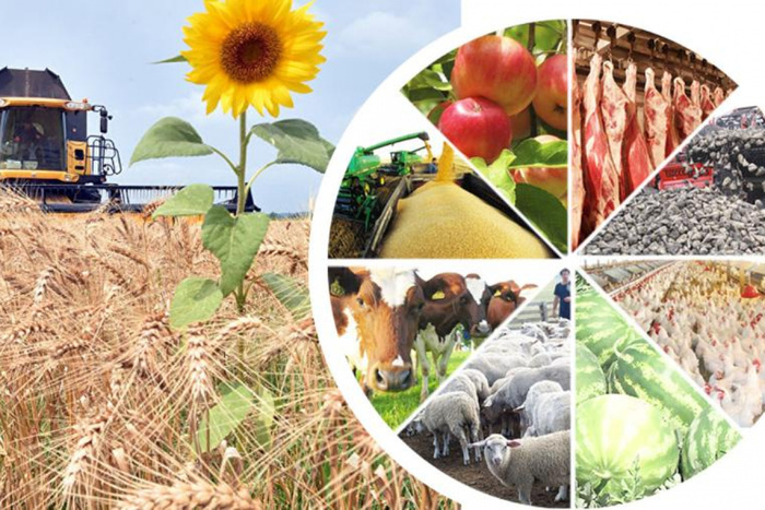 Агропромышленный комплекс Казахстана: аналитический обзор