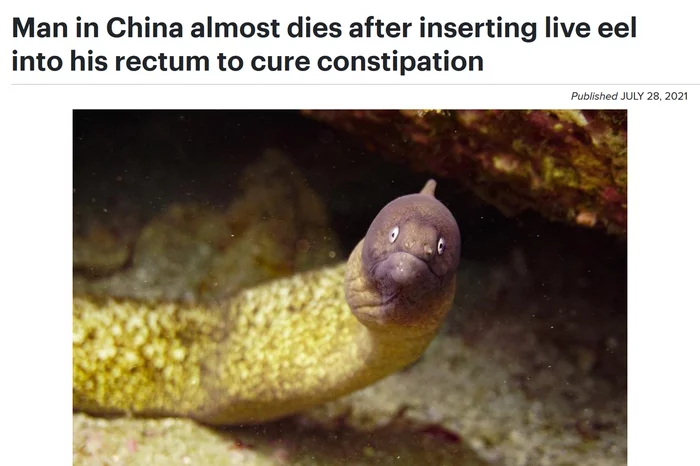 Chinese man nearly dies after inserting live eel into his anus to treat constipation - Acne, news, China, ethnoscience, Constipation, Treatment