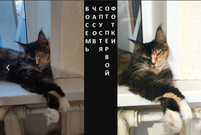 �� ��� �� ������ � ����!