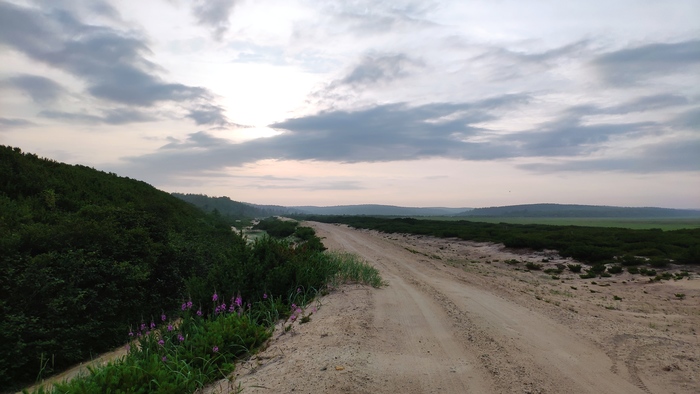 ������, �������