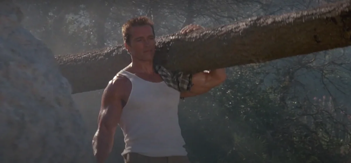 Арнольду Шварценеггеру - 74 года! Вспомним несколько его лучших фильмов ( на мой взгляд ) Актеры и актрисы, Голливуд, Арнольд Шварценеггер, День рождения, Фильмы, Яндекс Дзен, Длиннопост