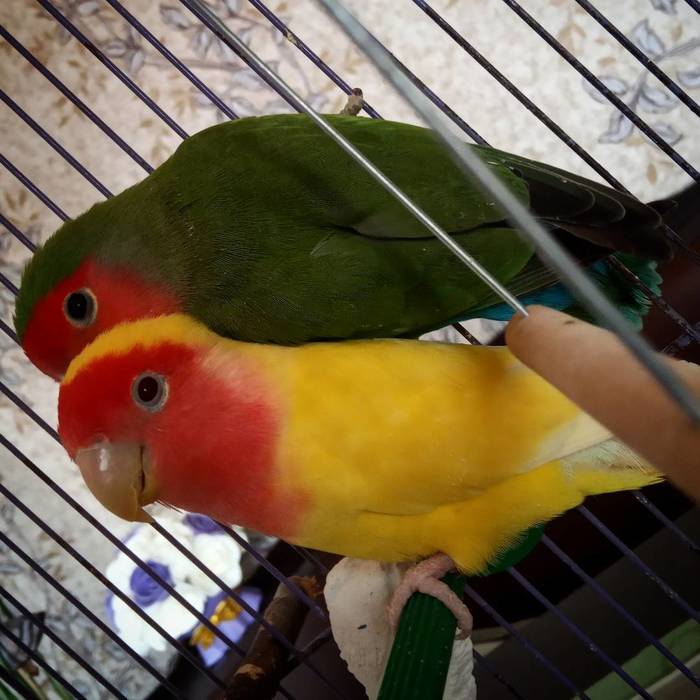 Я немного в смятении..)