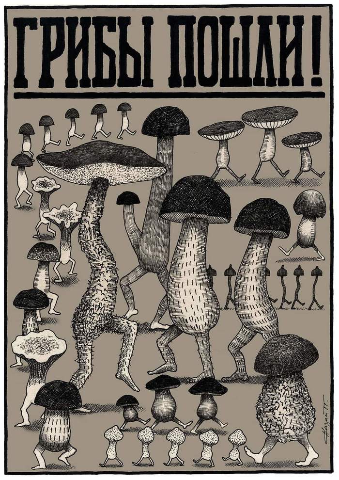 ��������� ��������