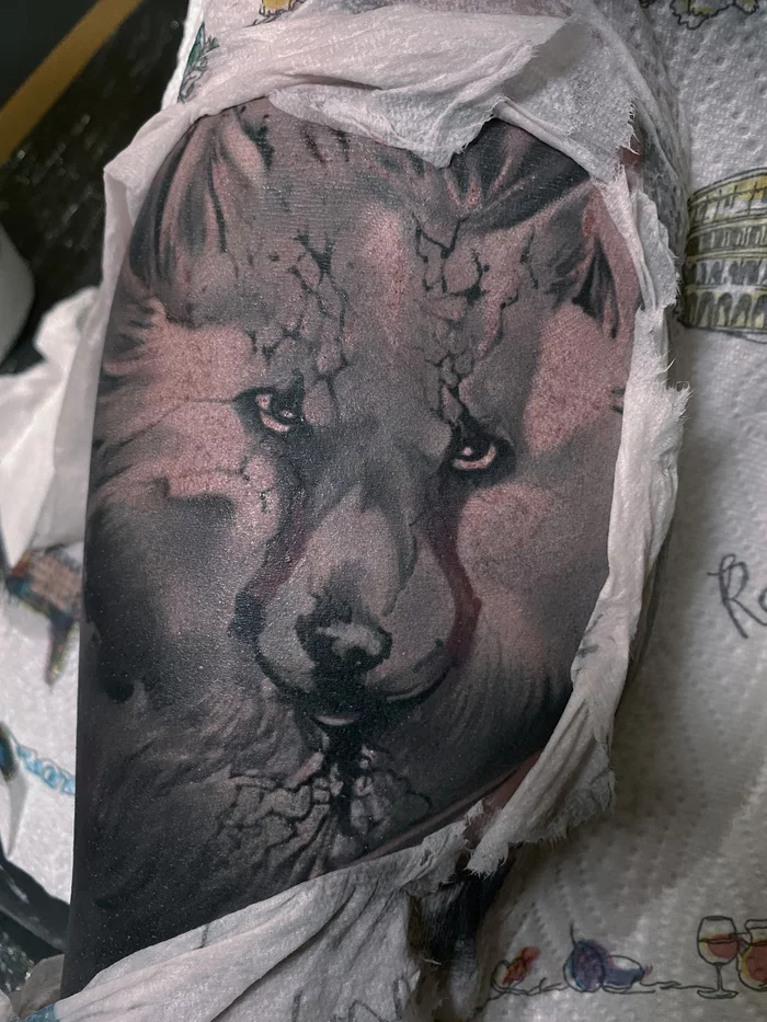 Fresh/Silver/Dense dyed. - My, Tattoo, Watercolor, Wolf, Creation, Bodypainting, Tattoo sketch, Longpost