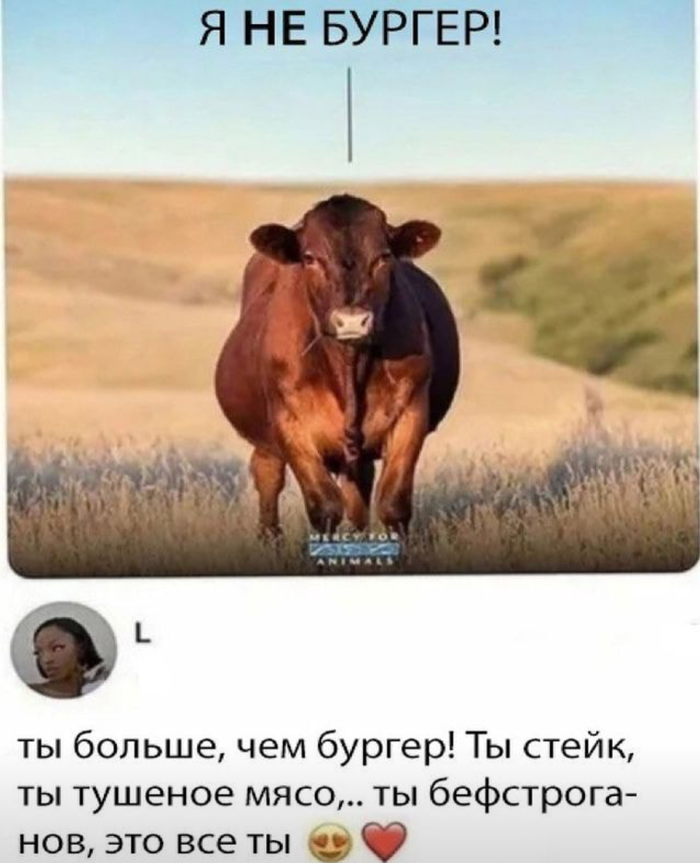    ,      ... , ,  , , ,   , 