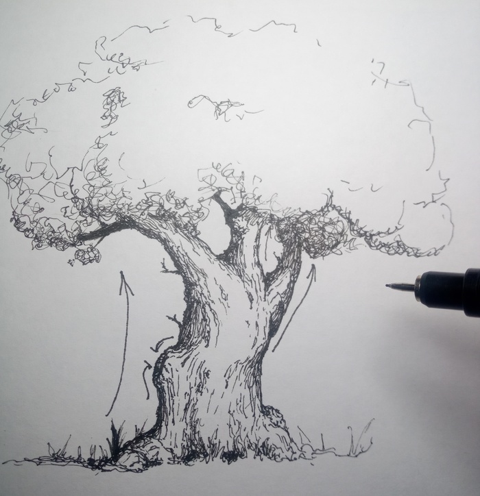 Как рисовать чернилами (№1): деревья Рисование, Рисунок, Рисунок ручкой, Процесс рисования, Обучение, Графика, Дерево, Чернила, Длиннопост