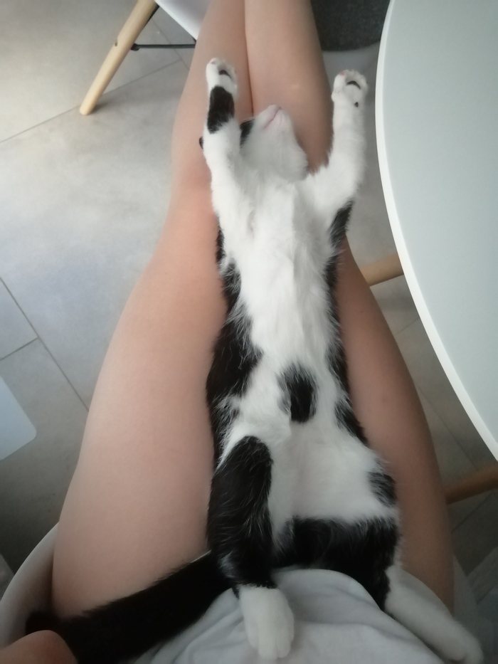 Сдался Морфею без боя